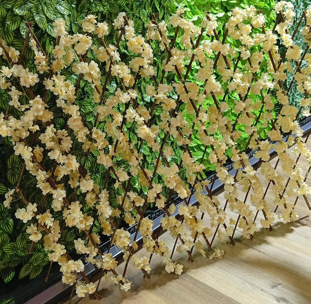 Coloured expandable fence